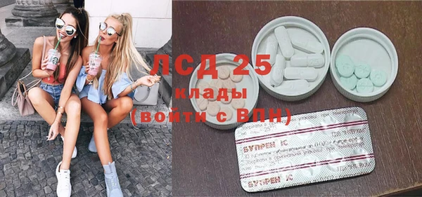 ПСИЛОЦИБИНОВЫЕ ГРИБЫ Алексин