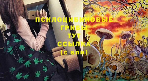 ПСИЛОЦИБИНОВЫЕ ГРИБЫ Алексин