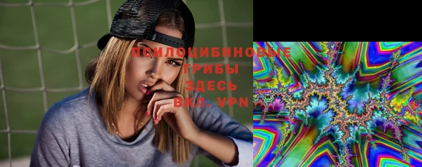 СК Алексеевка