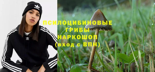 ПСИЛОЦИБИНОВЫЕ ГРИБЫ Алексин