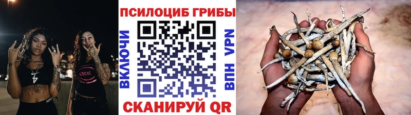 blacksprut зеркало Шумиха Галлюциногенные грибы прущие грибы